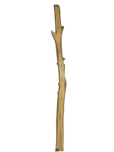 Product 7